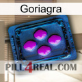 Goriagra 04